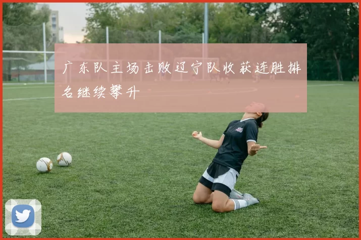 广东队主场击败辽宁队收获连胜排名继续攀升