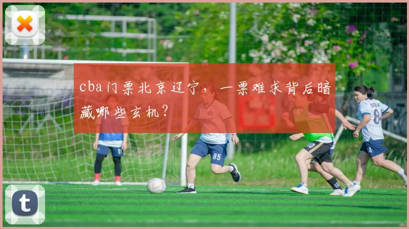 cba门票北京辽宁，一票难求背后暗藏哪些玄机？