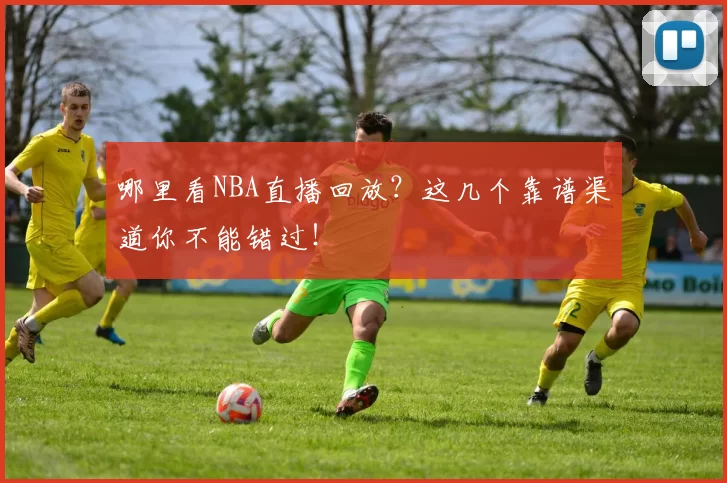 哪里看NBA直播回放?这几个靠谱渠道你不能错过!