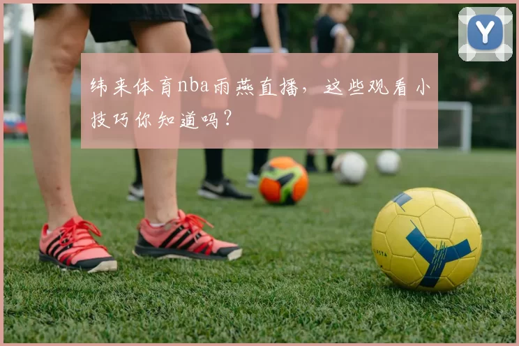 纬来体育nba雨燕直播,这些观看小技巧你知道吗?