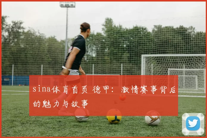 sina体育首页 德甲：激情赛事背后的魅力与故事