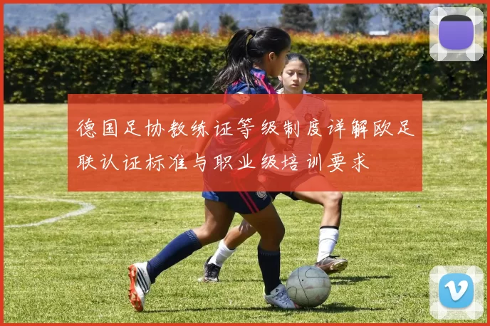 德国足协教练证等级制度详解欧足联认证标准与职业级培训要求