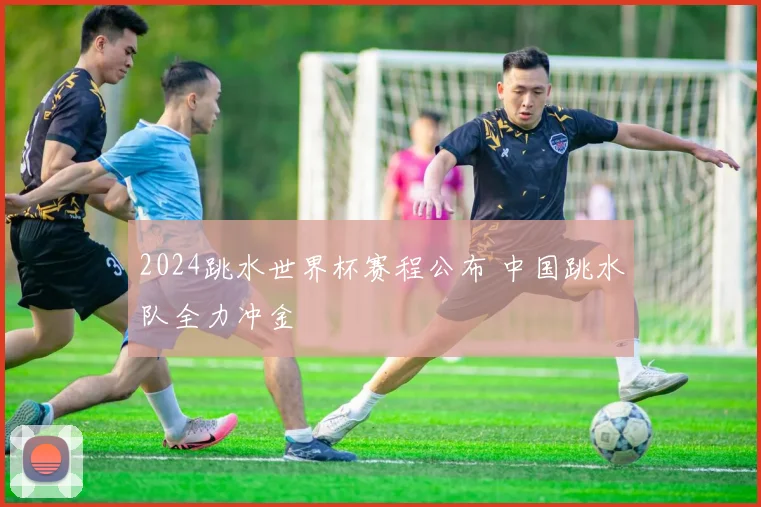 2024跳水世界杯赛程公布 中国跳水队全力冲金