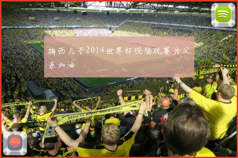 梅西儿子2014世界杯现场观赛为父亲加油