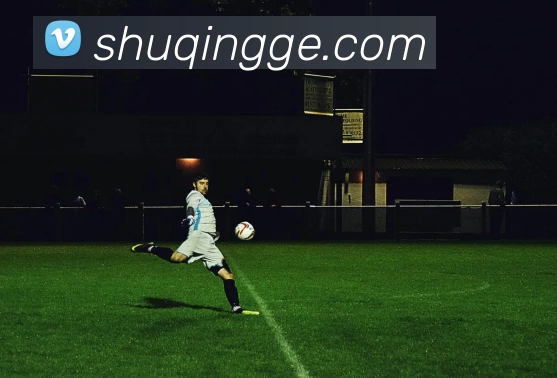 开云·kaiyun体育(中国大陆)官方网站 登录入口发展历程